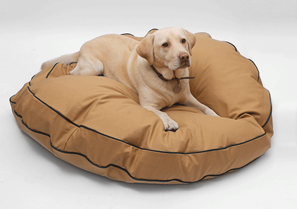 Types-of-Dog-Bed
