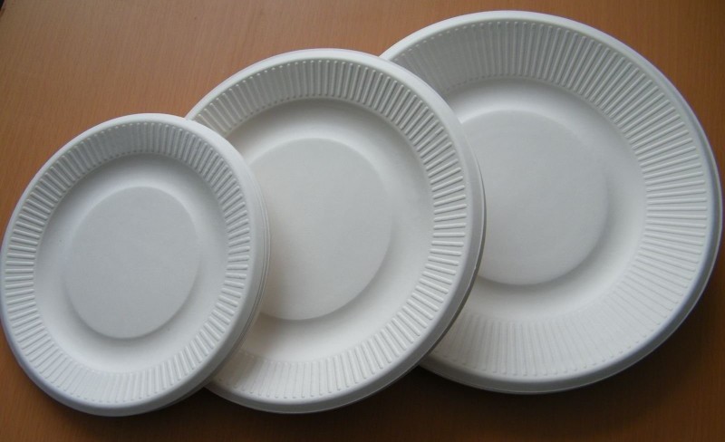 disposable plates