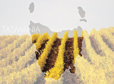 Tasmania-Wine