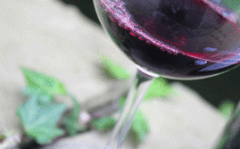 Varietal-Shiraz