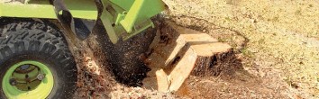 Slide-Stump-Grinding