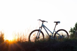 bicycle-bike-grass