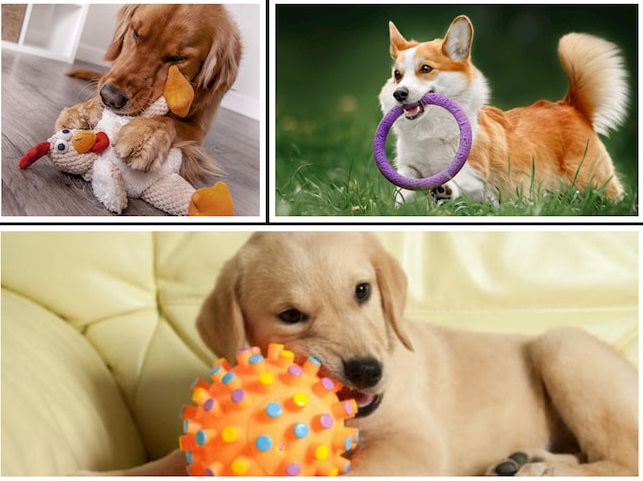 dogs-toys