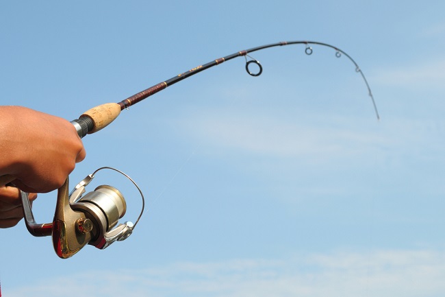 Fishing-Rod