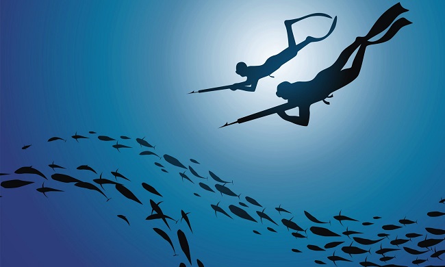 Spearfishing leisurepro.com