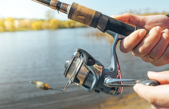 spinning-rod-and-reel