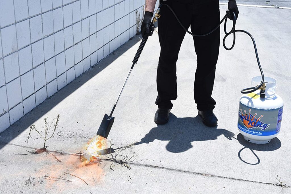 weed torch wiping invasive plants