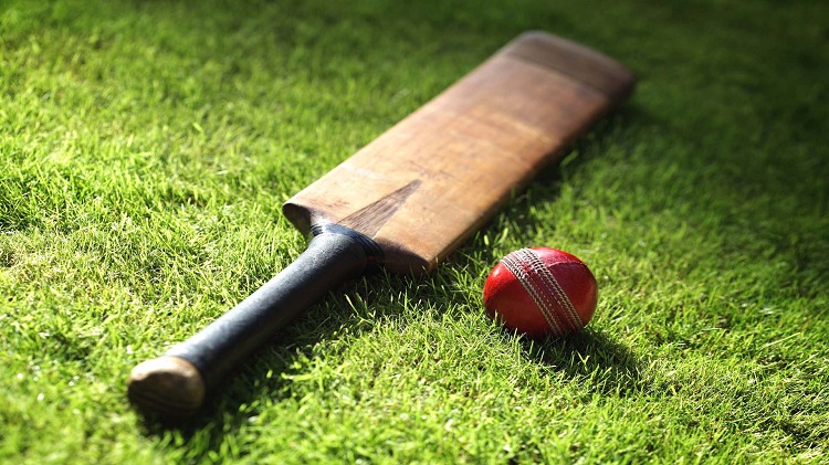 cricket bat and ball on grass