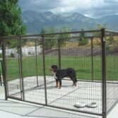 outside dog pens for sale