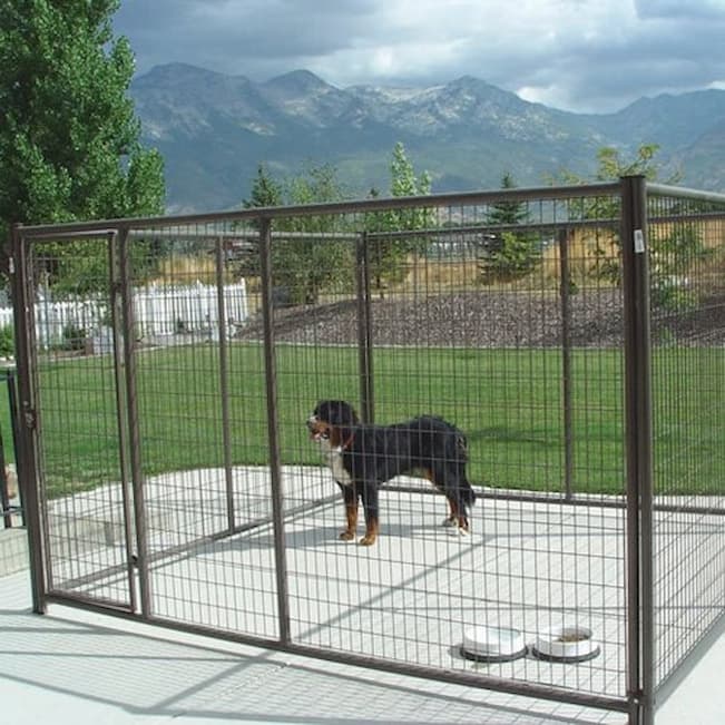 Dog Playpens Keep Your Furry Friends Both Safe and Entertained Intro