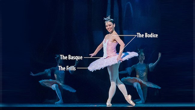 The Anatomy of a Tutu