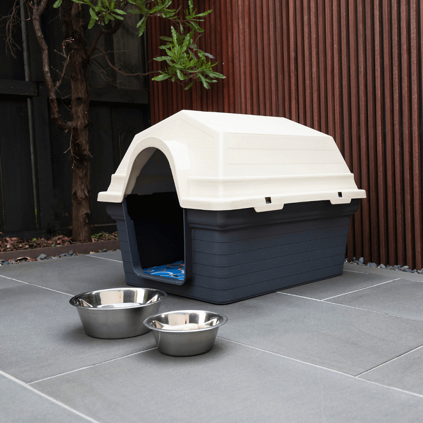 Outdoor Kennel for Dog