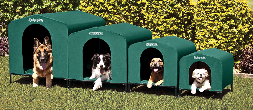 kennel sizes