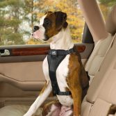dog car harnesses