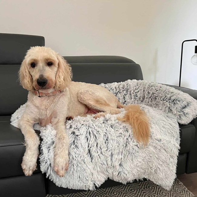 Marley Calming Plush Lounger Dog Bed