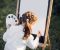 Cute little girl painting on a canvas