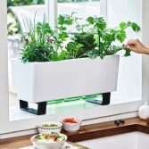 window box planter