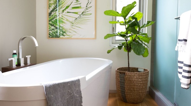 close up of a bathtub 