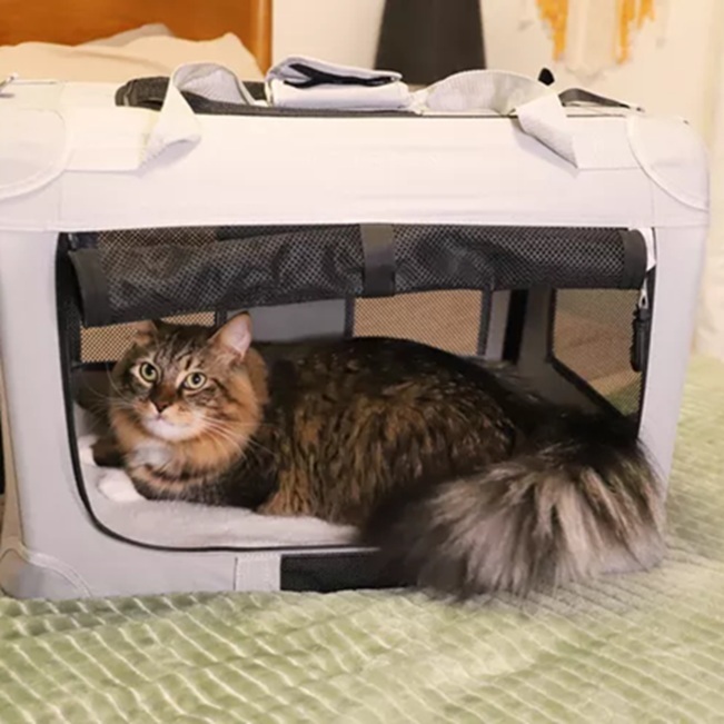 cat show travel cages