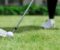 Golf wedge