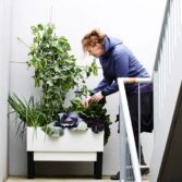 modern planters indoor