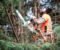 Arborist